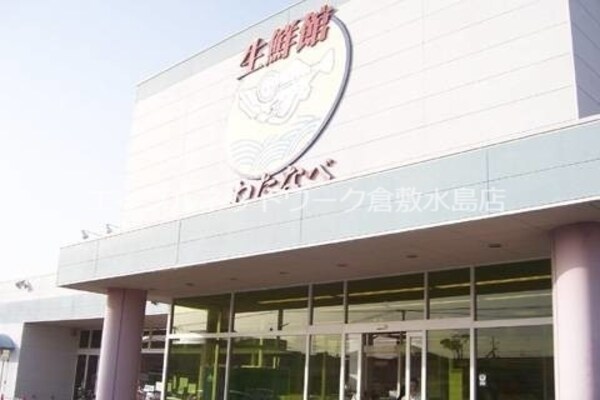 周辺環境(ザ・ダイソーわたなべ生鮮館庭瀬店 575m)