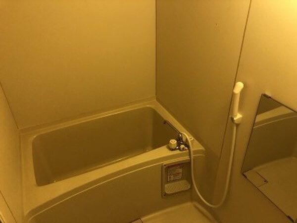 浴室(備品や設備仕様は号室等により異なります現地をご確認ください。)