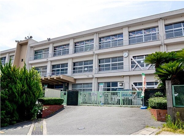 周辺環境(赤崎小学校まで750m)