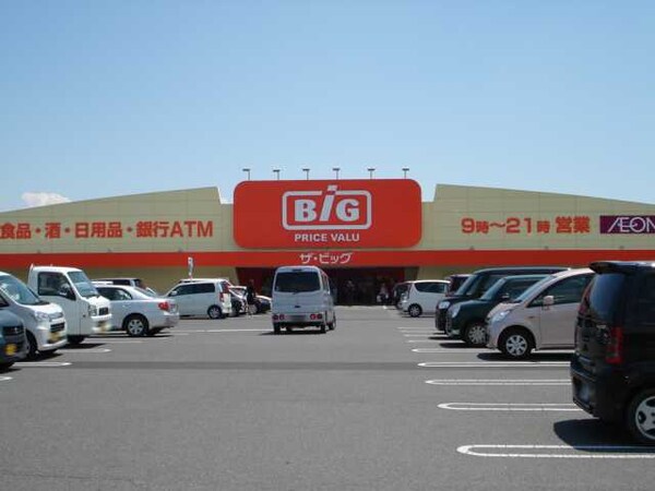 周辺環境(ザ・ビッグ鴨方店まで339ｍ)