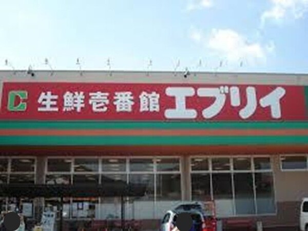 周辺環境(エブリイまで1200m)