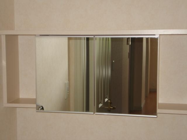 物件内観写真9　(トイレ鏡付収納)