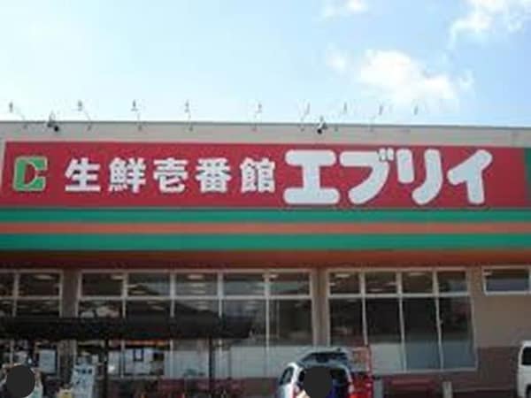周辺環境(エブリイ林店まで1200m)