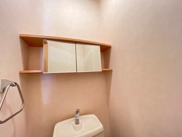 収納(トイレ戸棚)