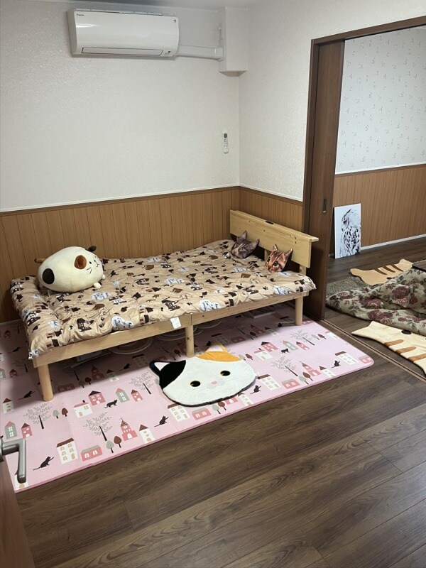 内装他