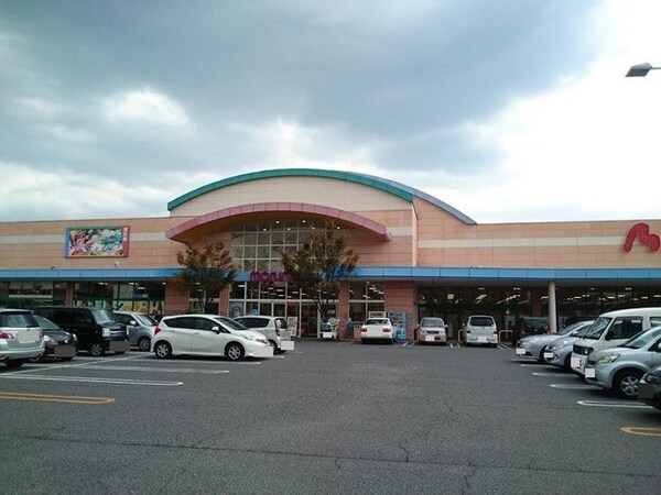 周辺環境(マルナカ児島店まで1000m)