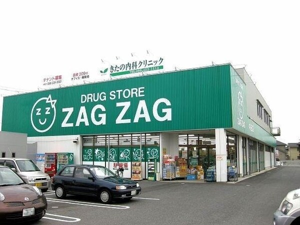 周辺環境(ザグザグ中庄店 1250m)
