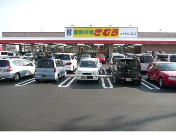 周辺環境(生鮮市場きむらまで500m)
