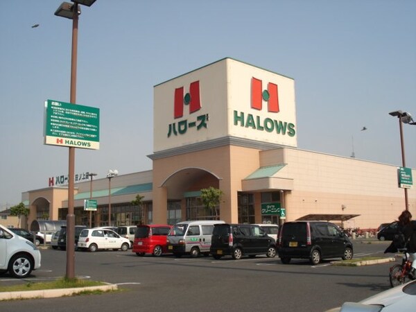 周辺環境(ハローズ田ノ上店（スーパー）まで774ｍ)
