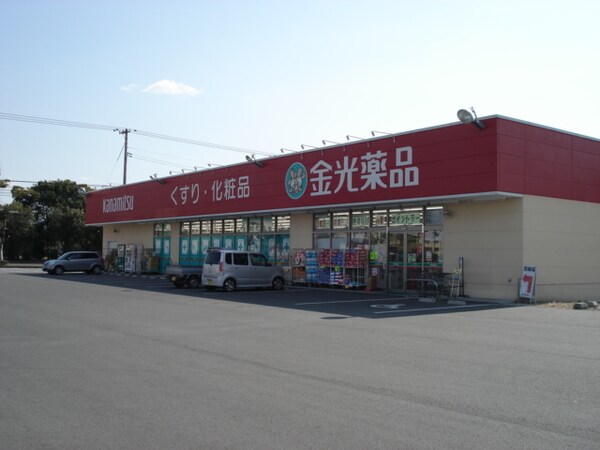 周辺環境(金光薬品神田店まで997ｍ)