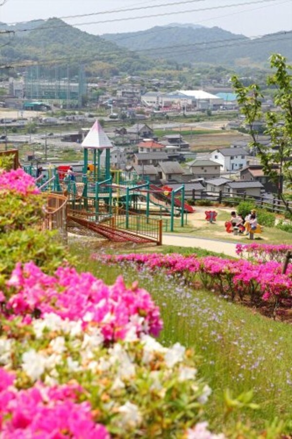 周辺環境(つばきの丘運動公園 2078m)