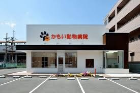 物件内観写真21　(かもい動物病院 1295m)