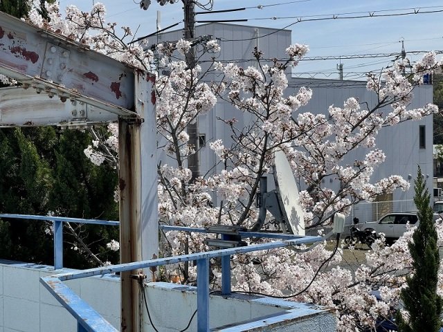 内観写真
