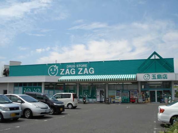 周辺環境(ザグザグ玉島店まで824ｍ)