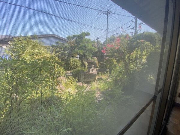 庭
