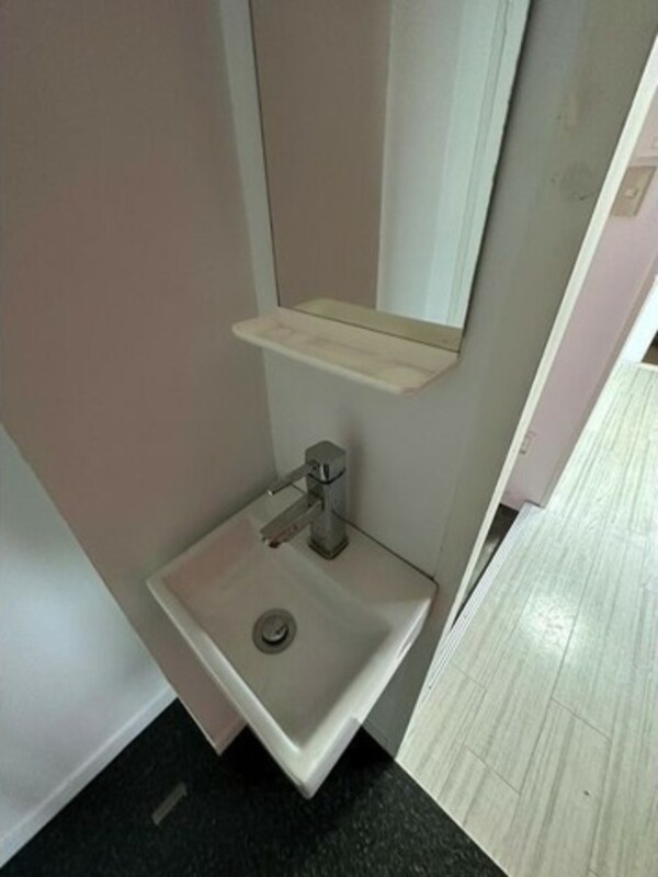 洗面・脱衣所(※写真は同じマンションの違う部屋のものになります。)