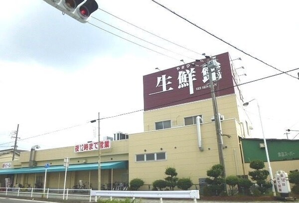 周辺環境(生鮮館やまひこまで700m)