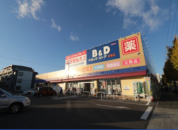 周辺環境(B&Dドラッグストア 岩塚店 739m)