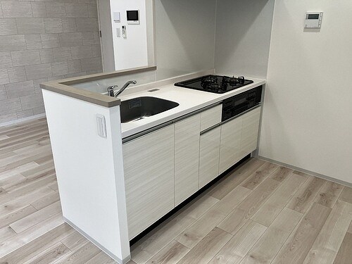 物件内観写真4　(キッチン　※同タイプの部屋のお写真で色が異なります)