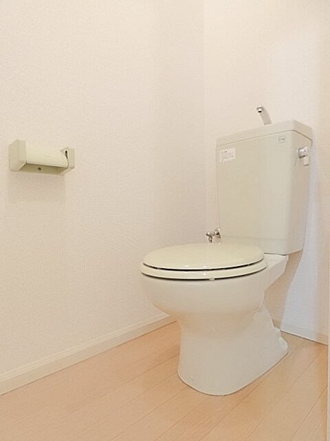 物件内観写真12　(落ち着いたトイレです)