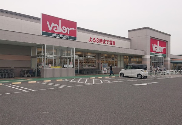 周辺環境(バロー 堀越店 718m)