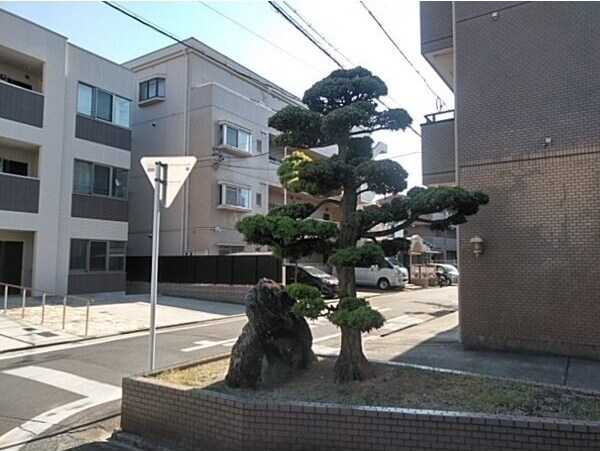 庭