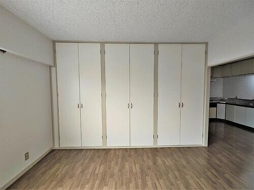 物件内観写真19　(収納(リビング①))