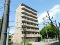 パール徳川