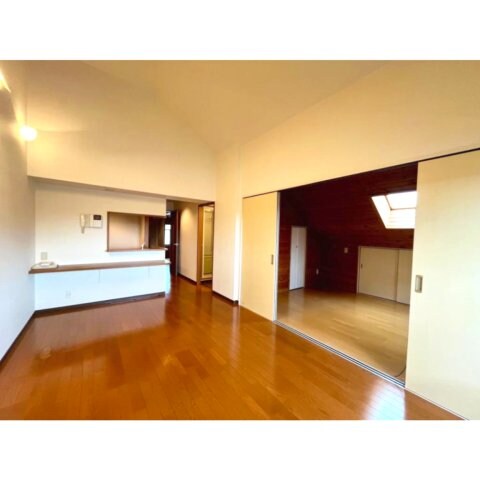 物件内観写真3　(リビング)