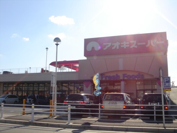 周辺環境(アオキスーパー八田店まで424ｍ)