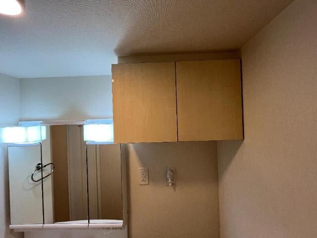 物件内観写真17　(洗面収納)