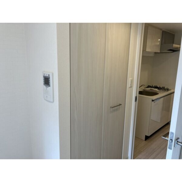 収納(※写真は同じマンションの違う部屋のものになります。)