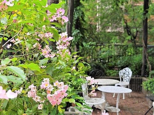 物件内観写真26　(中庭)