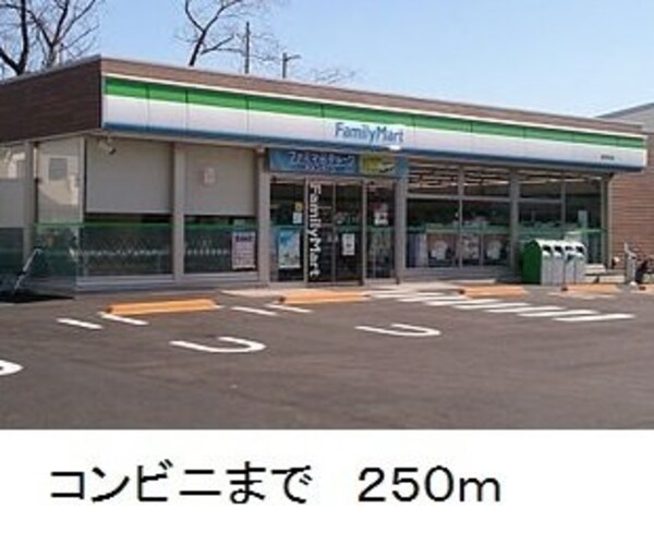 周辺環境(ファミリーマートまで250m)