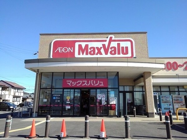 周辺環境(マックスバリュまで1100m)