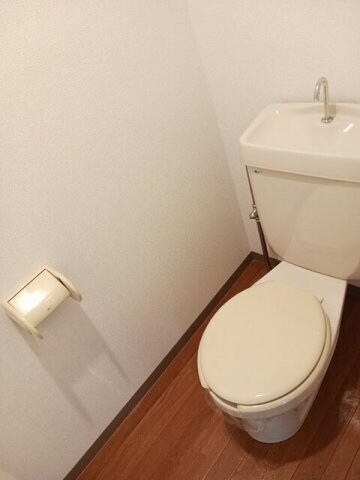 物件内観写真8　(落ち着いたトイレです)