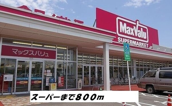 周辺環境(マックスバリュまで800m)