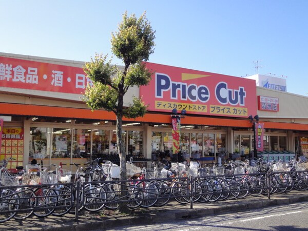周辺環境(スーパープライスカットまで1,029ｍ)