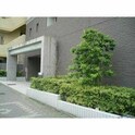 リーヴァストゥーディオ丸の内