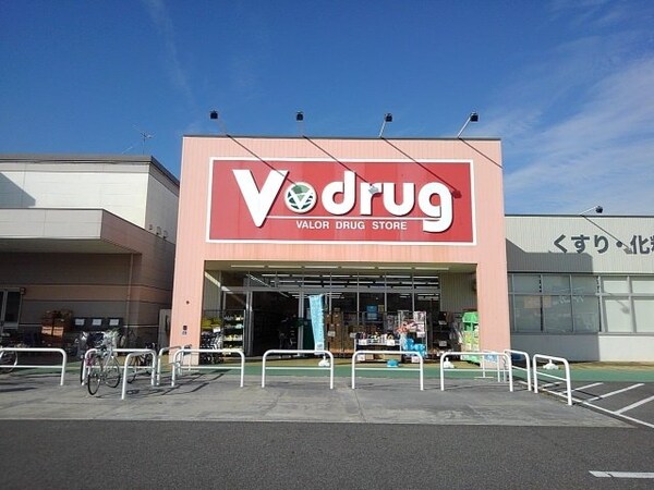 周辺環境(Ｖドラッグまで1100m)