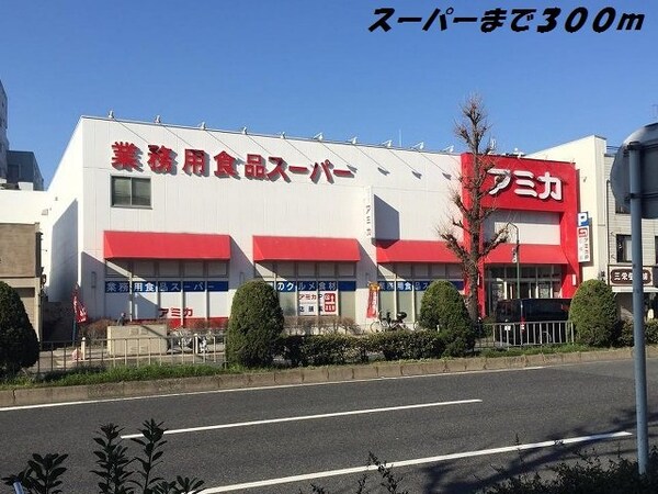 周辺環境(アミカまで300m)