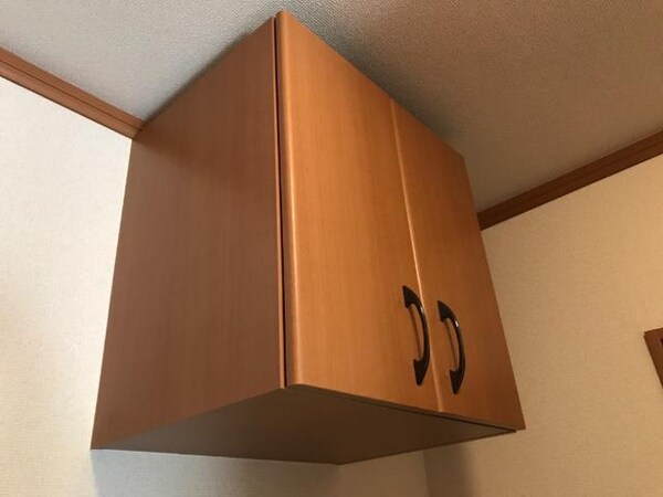 収納(下駄箱（上部）)