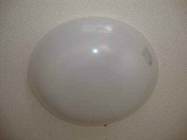 建物設備(洋室照明)