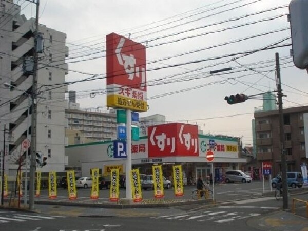 周辺環境(スギ薬局まで250m)