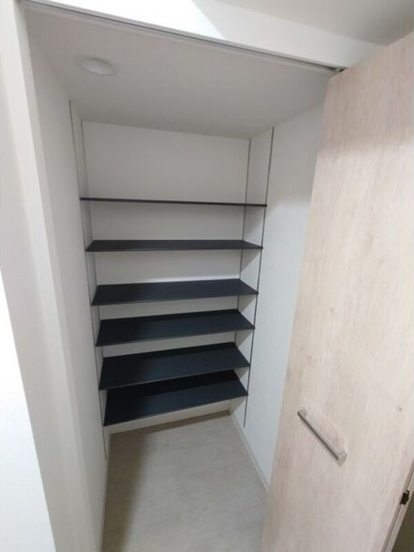 収納(※写真は同じマンションの違う部屋のものになります。)