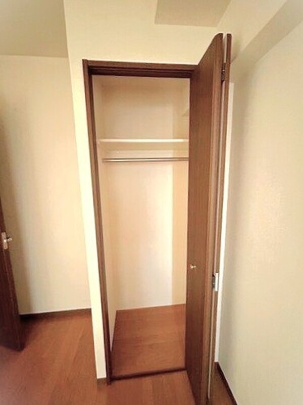 収納(クロゼット(中央洋室約5.0畳))