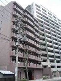 千代田アイリス
