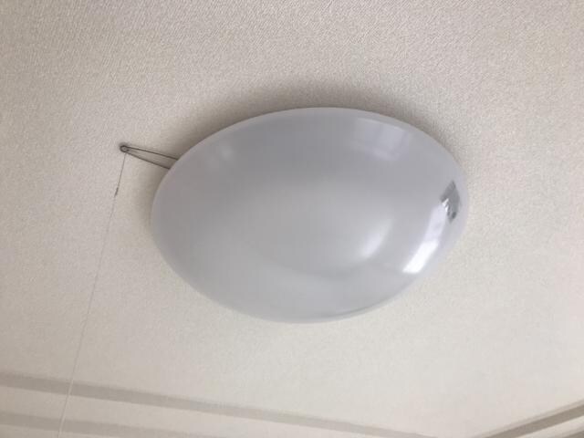物件内観写真28　(照明)