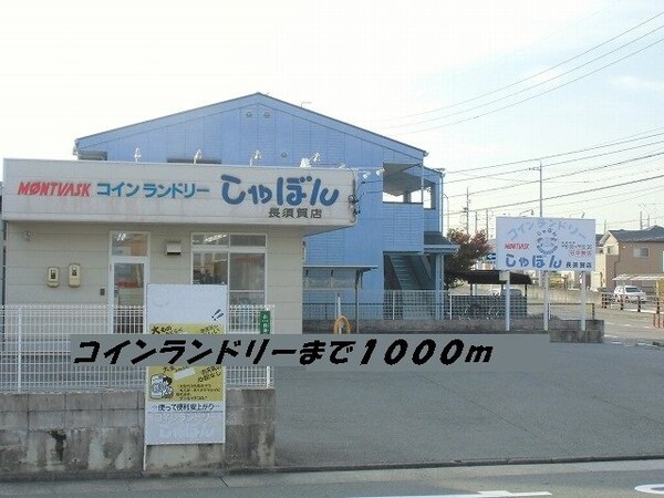 周辺環境(コインランドリーまで1000m)