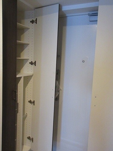 物件内観写真13　(シューズボックス　※同タイプの部屋のお写真です)